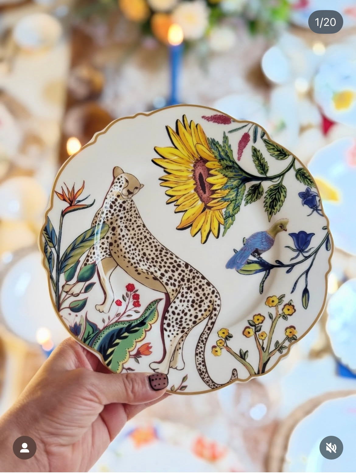 JENNA CLIFFORD DINNER SET